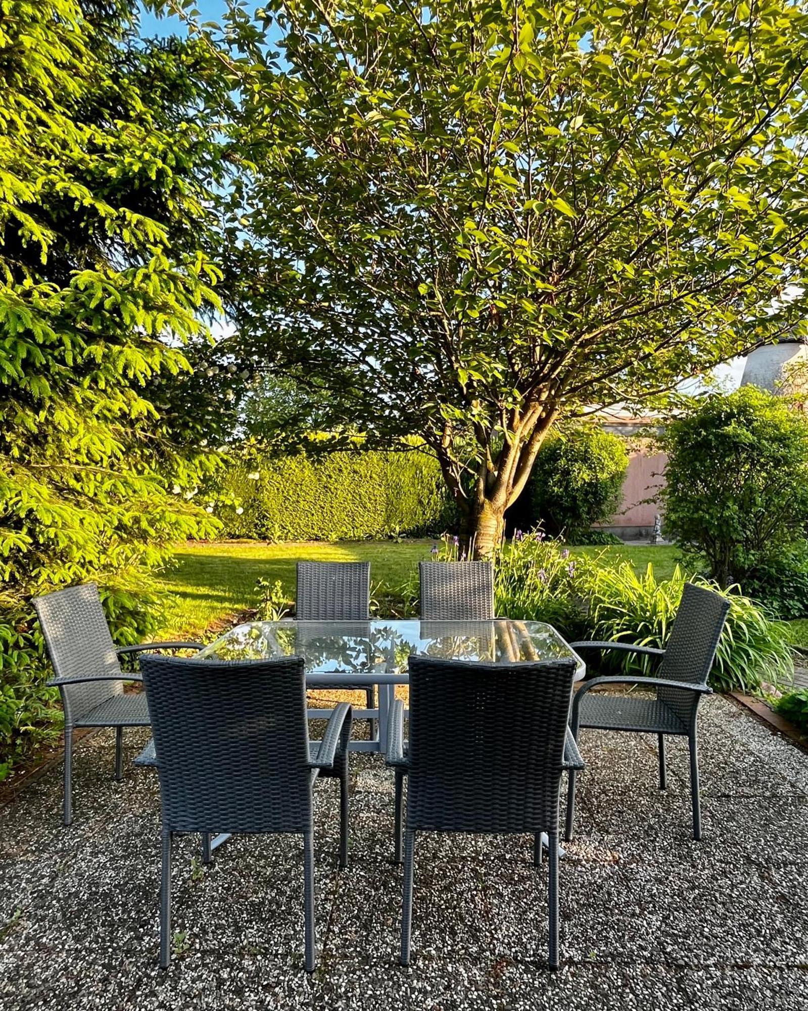 Ferienhaus Windmuehlenweg Mit Grossem Sonnigen Garten -Neu- Spenge Eksteriør bilde